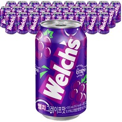 농심 웰치스 포도, 355ml, 48개