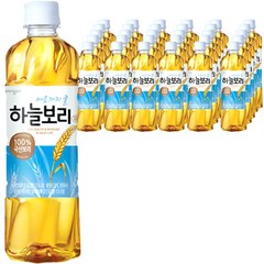 웅진 하늘보리, 325ml, 40개, 보리