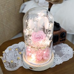 조아트 LED 플라워 유리돔 비누꽃 프리저브드, 로즈 핑크