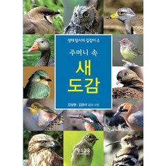 주머니 속 새도감, 황소걸음, 강창완, 김은미