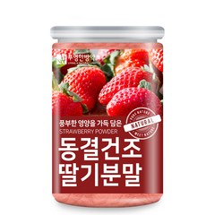 부영한방약초 동결건조 딸기 분말, 1개, 200g