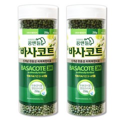 꿈앤들 바사코트 식물영양제, 2개