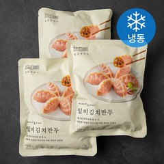 일상적미식 일미 김치만두 (냉동), 350g, 3개