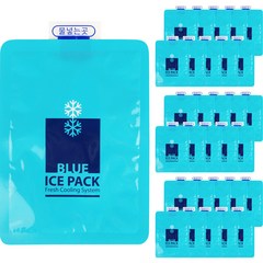 우림 블루 반제품 젤아이스팩 21 x 27 cm 100p + 물주입기 세트, 1세트