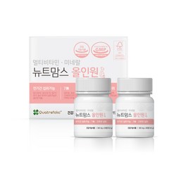 뉴트맘스 올인원 16.5g x 2p 세트, 60정, 1개