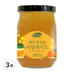 오뚜기 제주담음 제주 한라봉 마말레이드 잼, 300g, 3개