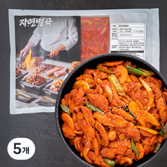 자연별곡 춘천식 닭갈비, 5개, 500g