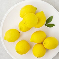 만나다 칠레 레몬, 1kg, 1개