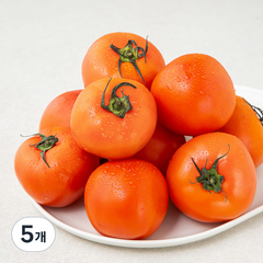 ONLYFARM 주스용 토마토, 2.5kg, 5팩