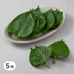 국내산 무농약 추부깻잎, 35g, 5개