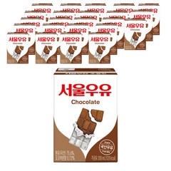 서울우유 멸균 초콜릿 우유, 200ml, 24개