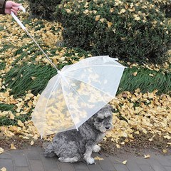 딩동펫 강아지 산책우산, 혼합색상, 1개