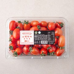 애드스윗 스테비아 토마토, 1kg, 1팩