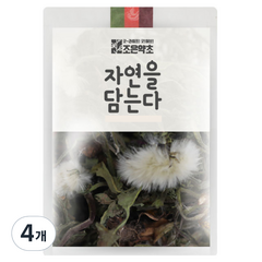 조은약초 민들레, 200g, 1개입, 4개