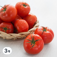 우일팜 GAP 인증 스마트 유리온실 토마토, 4kg, 3개