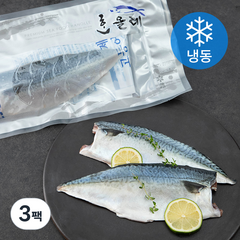 한올레 제주 고등어살 프리미엄 (냉동), 540g, 3팩