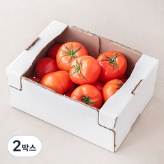 스마트팜 주스용 토마토, 5kg, 2박스