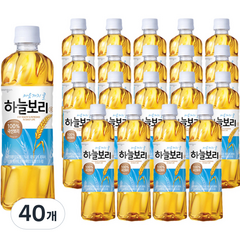 웅진 하늘보리차, 500ml, 40개