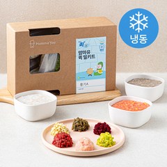 맘마유 퀵 밀키트 중기E 480g (냉동), 1세트, 혼합맛(한우/고구마/가지/닭가슴살/비트/흰살생선/새송이)