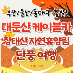 [전북] [부산/울산/동대구출발] KTX대둔산 단풍 & 장태산 자연휴양림 당일여행