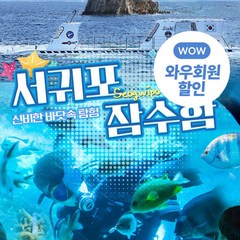 [서귀포시] |제주|서귀포잠수함+디저트팩토리 쇠소깍점 아메리카노