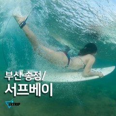 [부산] 송정 해변 송정서핑 배우기 서프베이 입문자 서핑 강습 렌탈