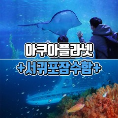 [제주] 제주 아쿠아플라넷+서귀포잠수함