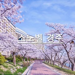 [경주] 소노벨경주/대명경주/경주리조트