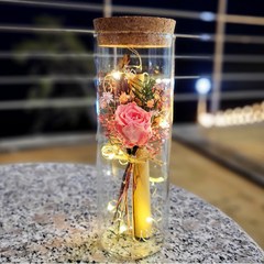 [바르미] 특별한 프리저브드 장미 LED 유리병 꽃 편지지 기념일 선물 세트, 베이비핑크