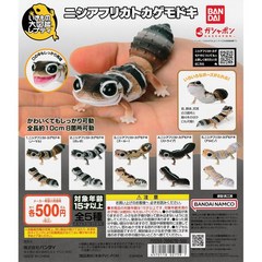 일본 반다이 생물대도감 아프리카 살찐꼬리도마뱀붙이 5종 풀세트 캡슐토이 가챠, 아프리카도마뱀붙이5종
