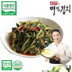 [유정임명인김치] 유정임의 열무김치 3kg, 1개