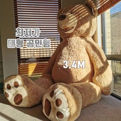 초대형 곰인형, 깜베(갈색), 160cm