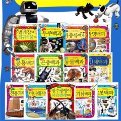 [전집] 특별기획 어린이 과학백과 시리즈 13권세트, 글송이(전집)