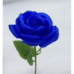 매이노 장미 DIY 다양한 향기 꽃다발 5송이+ 포장 소재, 블루2