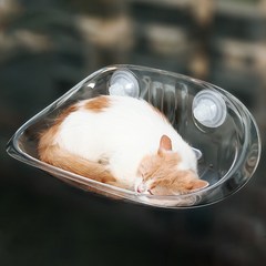 둥둥펫 고양이 투명 해먹 창문 캣타워 윈도우 캣워커, 1개, 단색