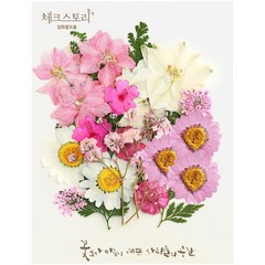 체크스토리 압화 컬러믹스 종합팩 꽃모음 23p 세트, 핑크1