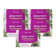 GNM자연의품격 품격있는 아로니아즙, 2.1L, 5개