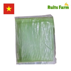 [루츠팜] 베트남 생 바나나잎 1kg 베트남바나나잎, 1개
