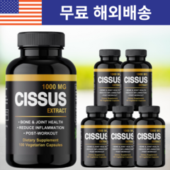 아오라토스 미국 직구 시서스캡슐 1000mg 시저스 알약타입 배지캡슐 100정 6개입, 6개