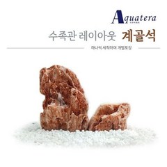 아쿠아테라 수족관 레이아웃 계골석 세척개별포장10Kg