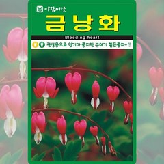 금낭화씨앗 20립 금낭화 씨앗 꽃씨앗 야생화 꽃씨, 1개