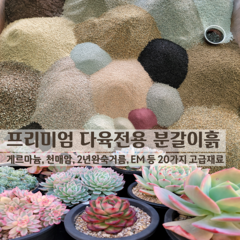 10kg(총15kg) 20가지의 고급재료 다육이전용분갈이흙(배합토)/전문가 초보용, 1개