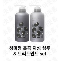 청미정 흑곡 지성샴푸&트리트먼트 set, 1세트