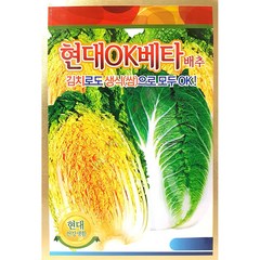 가을배추 종자 김장베타배추씨앗 300립 [23년포장], 1개