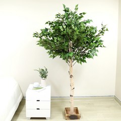 조아트 벚꽃나무 자작나무 라일락나무 인조나무 조화나무 실내조경 인테리어, 자작나무 목대형 190cm, 1개