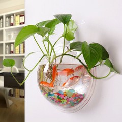 벽 물고기 거품 벽 걸이 그릇 투명 아크릴 꽃병 꽃 식물 냄비 수족관, 투명도, 17cm