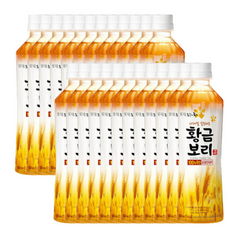 황금보리 500ml x 24PET, 24개