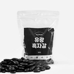 마이플랜트 유광흑자갈 3kg, 1호(6~9mm), 3000g, 1개