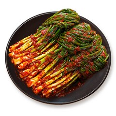 [진담김치] 전라도 파김치 I 국산 천연재료 진한 감칠맛의 전라도김치, 1kg, 1개