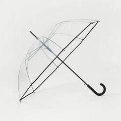 [국내정품상품] GIORDANO 262502 투명 우산